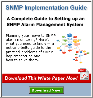 Download This White Paper Now!